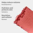Haus Labs - Blush - Color Fuse Talc-Free Blush Powder With Fermented Arnica