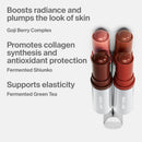 Haus Labs - Blush - Color Fuse Longwear Hydrating Glassy Lip + Cheek Blush Balm Stick